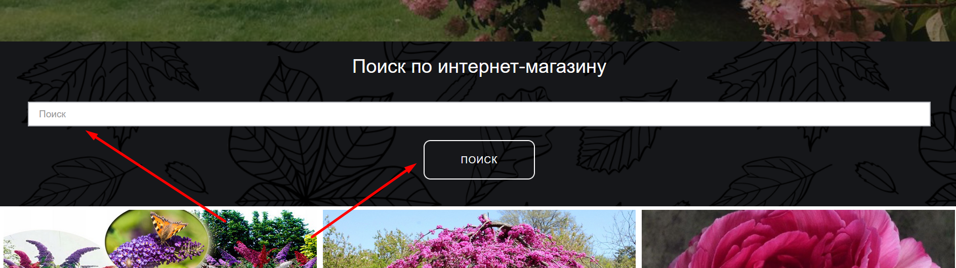 search