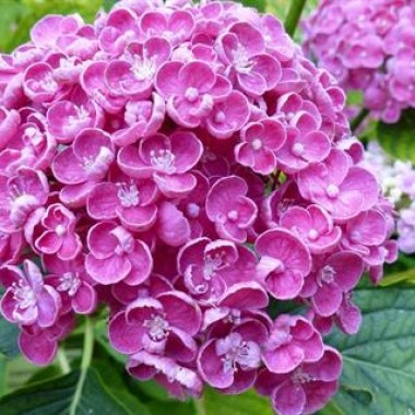 3f69996e0cd44e8fa4e5f6cb13a3c4d9