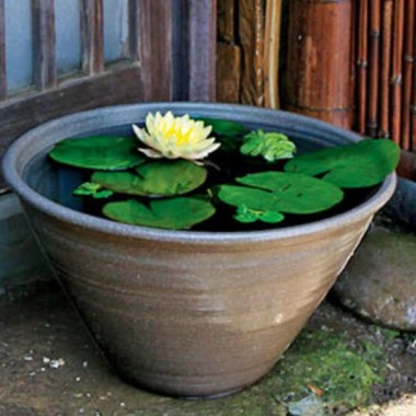 50072290