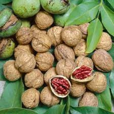 images34