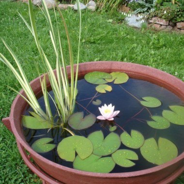images_cms-image-000048916