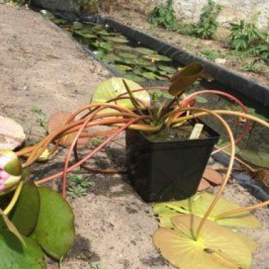 images_cms-image-000048923