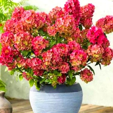 img_20220210_113628-570x663