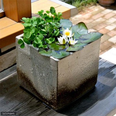 pond-in-pot-10