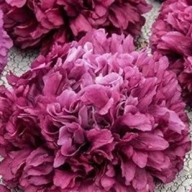 purplepeony_2048x8