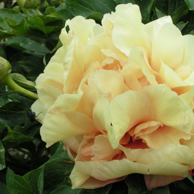 soleil-dambre-3-1024x768